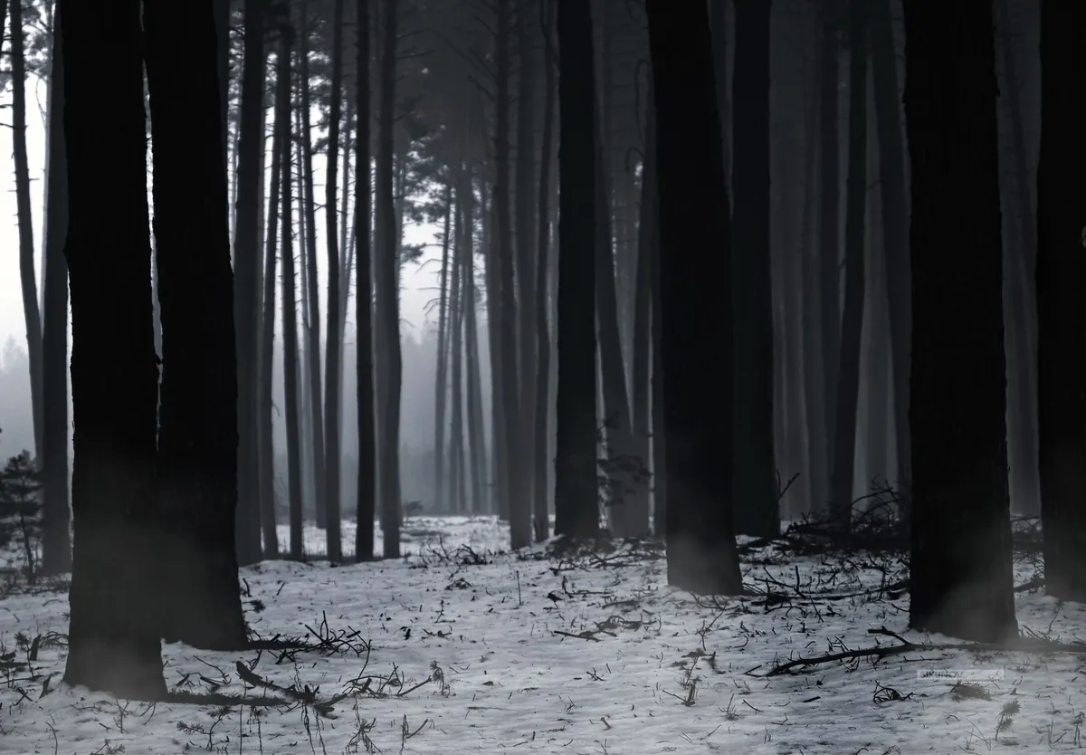Seasonal Adventures: Running a Spooky Halloween One-Shot in the UK